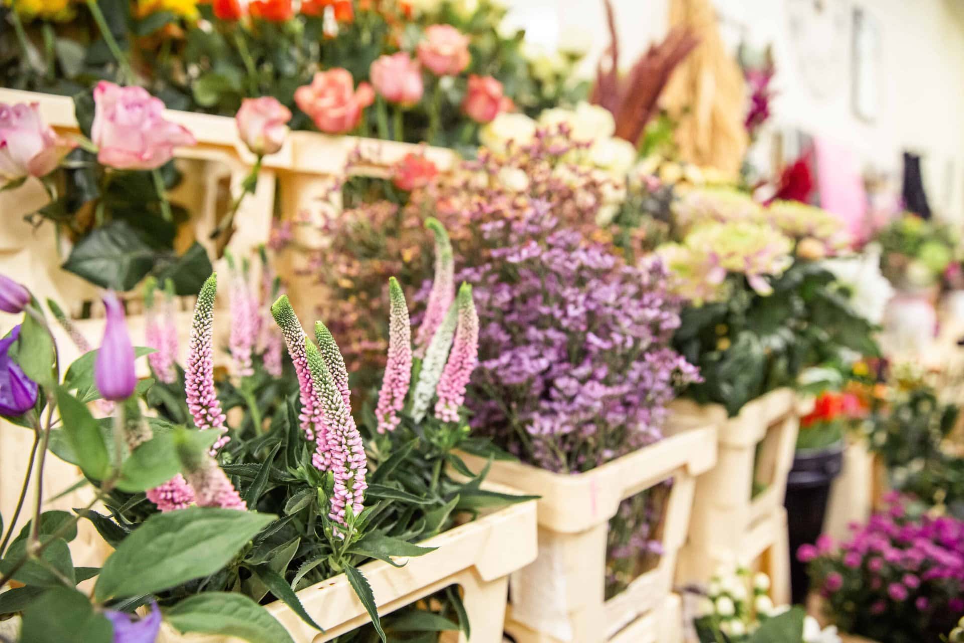Florist for the day