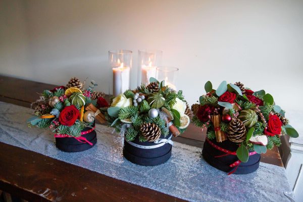 Charlotte festive - Image 9