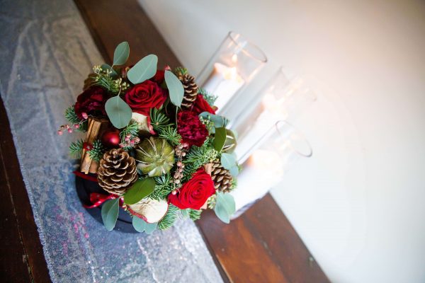 Charlotte festive - Image 6