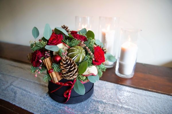 Charlotte festive - Image 3