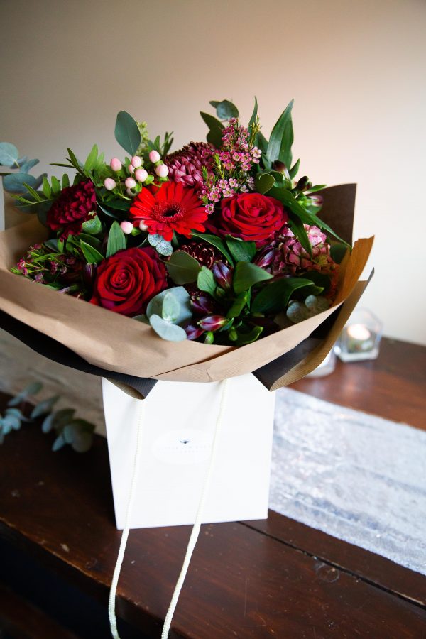Elsie festive - Image 8